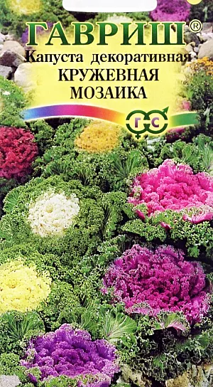 Капуста декоративная Кружевная мозаика из каталога Капуста декоративная Семена Капуста декоративная Кружевная мозаика.
Это растение высотой до 60 см., двулетнее, выращивается как однолетник. Курчавые листья с сильногофрированными краями имеют зеленую, белую, кремовую или пурпурно-фиолетовую окраску, наиболее декоративны в конце лета –- начале осени.
Светолюбива, предпочитает богатые гумусом почвы; холодостойка, выдерживает во взрослом состоянии заморозки до -8-12 °C, в возрасте рассады –- до -4 °C.
Размножают семенами. На рассаду высевают в конце марта. При температуре почвы 18-20 °C всходы появляются через 3-5 дней.
Землю проливают до и сразу после посева, молодые всходы лишь немного опрыскивают и начинают поливать, когда они окрепнут.
Выращивают рассаду при температуре 12-16 °C. В конце апреля — начале мая ее высаживают в грунт через 50-60 см.
