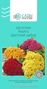 Целозия Амиго Цветной набор 20шт Целозия Амиго Цветной набор 20шт