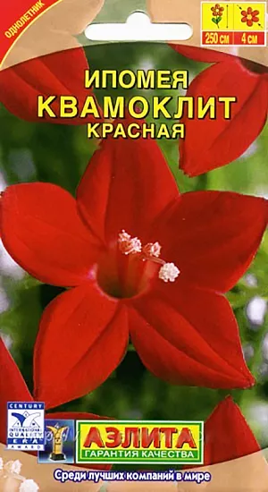 Семена Ипомея Квамоклит красная.
Очень необычная однолетняя лиана привлекает внимание не только яркими цветам, но и ажурными листьями, не встречающимися у других представителей этой группы растений. Она способна быстро взобраться по любой опоре на высоту до 2,5 м и образовать лёгкий занавес из воздушной зелени и многочисленных цветов-звёздочек ø 3-5 см. Не требует особого ухода. Будет достойным украшением террас, беседок и оград. 
Агротехника. Посев в открытый грунт в конце мая предварительно замоченными семенами, гнёздами по 2-3 шт на глубину 1-2 см. Всходы появляются на 5-7 день. Цветение с середины лета до заморозков. Можно сеять на рассаду в горшочки в конце апреля, это ускорит цветение на 3-4 недели. Влаго-, свето-, теплолюбива.