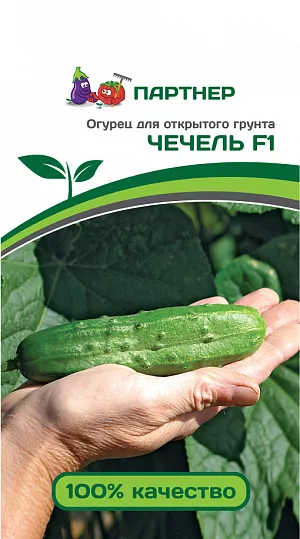 Семена Огурец Чечель Семена Огурец Чечель