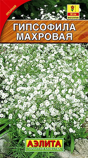 Семена Гипсофила Махровая.
Махровая гипсофила великолепно подходит для украшения сада, с легкостью придаст очарования любому его уголку. Её изящные, очень ветвистые стебли длиной 80-90 см образуют каскады, усыпанные множеством маленьких цветков. Гипсофила эффектно смотрится в цветниках, в групповых посадках с бархатцами, эшшольцией и годецией. Гипсофилу с успехом используют и для срезки: она придаёт букетам особую воздушность и декоративность. Гипсофила предпочитает солнечные места, легкие, хорошо дренированные почвы, содержащие известь. 
Агротехника. Посев на рассаду проводят в марте, по поверхности влажной почвы. Всходы появляются через 10-15 дней при температуре 20-22°С. После появления двух настоящих листьев всходы пикируют и снижают температуру до 16-18°С. Рассаду высаживают в грунт, когда минует угроза заморозков. Расстояние между растениями 40х30 см. Цветет с июля до конца августа.
