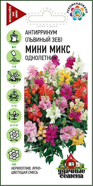 Семена Львиный зев Мини микс из каталога Львиный зев Семена Львиный зев Мини микс.
Декоративное многолетнее растение, культивируемое как однолетник, высотой до 20 см. Цветет с конца июня до поздних заморозков.
Цветки разнообразной окраски собраны в кистевидные соцветия. Холодостоек, светолюбив, к почвам нетребователен, в засушливый период нуждается в поливе.
Выращивают рассадным способом. Можно высевать семена в открытый грунт под зиму, в этом случае цветение начинается в августе.
Используется для клумб, рабаток, миксбордеров, в дополнение к кустарникам, для озеленения балконов, ваз, горшечной культуры, срезки и выгонки.