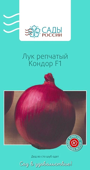 Лук репчатый Кондор F1
