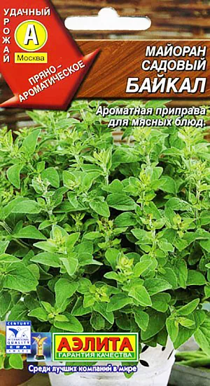 Майоран садовый Байкал