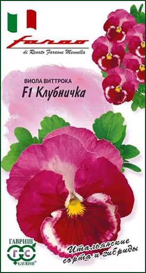<div>
 Семена Виола Клубничка F1.
</div>
 <article>
<p>
 Потрясающая по красоте крупноцветковая виола из итальянской серии «F1 Акварель»! Роскошное сочетание бардового, белого и розового, меняющаяся интенсивность окраски от цветка к цветку, все это придает гибриду неповторимую притягательность. Истинные ценители прекрасного, безусловно, оценят такое изысканное украшение для балкона, садовых ваз, клумб и рабаток. Цветет обильно и продолжительно с мая по сентябрь.
</p>
<p>
  Растение влаголюбивое, холодостойкое, хорошо растет на солнце и в полутени. Для получения растений, цветущих в год посева, семена высевают на рассаду в феврале-марте. Всходы появляются через 5-7 дней. В открытый грунт рассаду высаживают в конце апреля-начале мая на расстоянии 20 см. Хорошо переносят пересадку в цветущем состоянии. При посеве в открытый грунт в июне-июле, цветение наступает во второй год.
</p>
 </article>