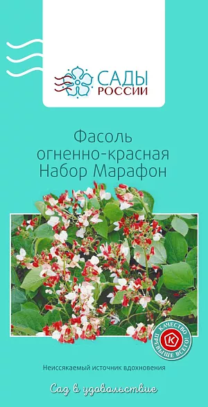 Фасоль декоративная огненно-красная Марафон набор

Шикарная густо-зеленая лиана, украшенная яркими алыми, искрящимися белыми и двуцветными красно-белыми цветками, собранными в рыхлые крупные кисти. Тепло- и влаголюбива. Перед посадкой необходимо на сутки замочить семена в растворе со стимулятором роста и поместить в теплое место. В почву по максимуму внести органические и минеральные удобрения. На 1 кв. м – 1 ведро перегноя и 50 мг комплексного минерального состава для бобовых культур. Обязательно суперфосфат. Нуждается в установке опорных конструкций.