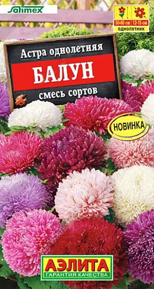 Семена Астра Балун смесь сортов. Смесь ярких «воздушных шариков». По степени махровости астра Балун (Balloon) европейской селекции от компании Satimex превосходит все махровые астры! Шаровидные соцветия, диаметром 12-15 см, устойчивы к дождю и ветру. На одном крепком пирамидальном кусте, высотой 50-60 см, формируется 6-8 штук прочных побегов. Растение украсит клумбы в саду. Прекрасно подходит для срезки! Стоит в воде после срезки до 2 недель!<br>
 <br>
 Астра – культура холодостойкая. Предпочитает солнечные участки с плодородными, дренированными, некислыми почвами. Недопустимо внесение навоза. Астру нельзя выращивать постоянно на одном месте, необходим перерыв в 4-5 лет. Возможен посев семян в открытый грунт ранней весной или под зиму.<br>