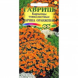 Бархатцы Карина Оранжевая тонколистные