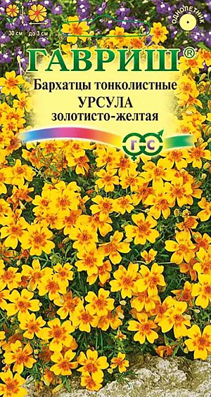 Бархатцы Урсула золотисто-желтая тонколистные из каталога Бархатцы Семена Бархатцы Урсула золотисто-желтая тонколистные.
Обильно цветущий сорт для ярких нарядных цветников.
Растение сильноветвистое, формирует раскидистый кустик с изящными перисто-рассеченными листьями.
В пору цветения растение похоже на цветущий шар, усыпанный усыпанный золотисто-желтыми соцветиями-корзинками до 3 см в диаметре.
Бархатцы теплолюбивы и светолюбивы, засухоустойчивы, отзывчивы на плодородие почв.
На рассаду высевают в начале апреля. В открытый грунт можно высевать в конце мая – начале июня.
Всходы появляются на 5-10 день. Широко используются в озеленении при оформлении бордюров, для выращивания в контейнерах, вазонах.
Пригодны для выращивания в ампелях на балконах и лоджиях.