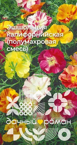 Семена Эшшольция калифорнийская (полумахровая смесь)

Красивое растение с серебристо-зелеными ажурными листьями и нежными полумахровыми цветками до 5 см в диаметре. Лепестки светящихся желто-оранжевых оттенков. Цветение продолжается до заморозков. Растения засухоустойчивы и холодостойки, не переносят избытка влаги. Используют для клумб, рабаток, бордюров, каменистых горок.