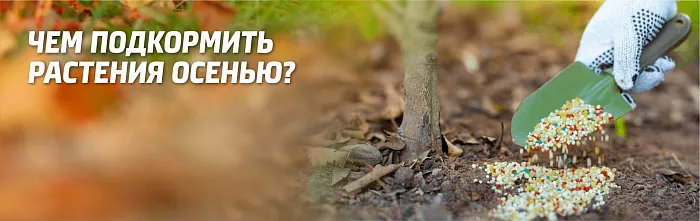 Осеннее удобрение для сада и огорода – чем подкормить растения осенью Осеннее удобрение для сада и огорода – чем подкормить растения осенью