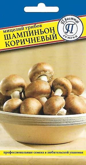 Мицелии грибов шампиньон коричневый Мицелии грибов шампиньон коричневый