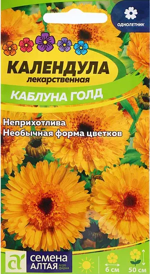 Семена календула Каблуна Голд.<br>
 <br>
 Яркий однолетник с замечательным сочетанием ценных характеристик: высокие декоративные качества, целебные свойства, продолжительный период цветения. Неприхотливость и холодостойкость позволяют выращивать календулу повсеместно. Растение кустовой формы, ветвистое, высотой до 50 см. с прямостоячими побегами, увенчанными очаровательными соцветиями приятной золотисто-оранжевой окраски диаметром до 6 см., обладающими специфическим освежающим ароматом. Великолепно смотрится в одиночных и групповых посадках на газонах, клумбах, в бордюрах, лекарственных садиках. Долго сохраняет свежесть и декоративность в срезе.<br>
 <br>
 Светолюбивое, холодостойкое и довольно неприхотливое растение. Выносит заморозки до -5 С. Наибольшей декоративности достигает на открытых солнечных участках с легкими плодородными дренированными почвами при достаточном увлажнении. Выращивают посевом семян в открытый грунт в конце апреля или под зиму. Глубина заделки 2-3 см.<br>
 <br>
 <br>