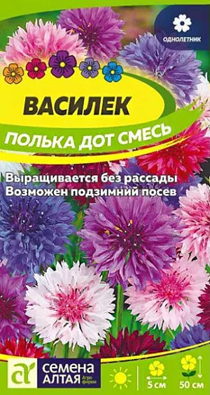 Семена Василёк низкорослый Полька Дот смесь из каталога Василек Семена Василёк низкорослый "Полька Дот".<br>
Любимый садоводами неприхотливый однолетник, отличный медонос. Красочная смесь низкорослых сортов с махровыми цветками различных расцветок: от белых и нежно-голубых до ярко-розовых и лиловых. Растение формирует прямостоячие обильноветвящиеся стебли высотой до 50 см. Применяется в групповых и одиночных посадках на газоне, для создания клумб, бордюров, рабаток и срезки в букеты. Замечательное фоновое растение для цветников, палисадников, мавританских газонов. Светолюбивое, холодостойкое, засухоустойчивое растение. Неприхотливо, но предпочитает открытые солнечные участки на рыхлых питательных нейтральных почвах. Выращивают посевом семян в открытый грунт в конце апреля – начале мая, как только почва прогреется до +3-5°C. Холодов и кратковременных ночных заморозков растения не боятся. Возможен и подзимний посев в октябре при температуре близкой к нулю. Семена высевают в бороздки глубиной 1,5-2 см, предварительно пролитые водой. Сеют с шагом в 5-7 см, мульчируют слоем почвы 0,3-0,5 см и поливают. Всходы появляются через 7-14 дней. Спустя 2-3 недели всходы прореживают с интервалом 25-30 см между растениями. Уход заключается в рыхлении, прополке и поливе 1 раз в 3-4 дня, однако во влажную погоду поливы сокращают, так как растение не переносит переувлажнения. Цветение обильное и продолжительное, с июня до сентября. Для продления цветения увядшие корзинки удаляют.