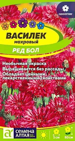 Семена Василёк "Ред Бол".<br>
Декоративно-цветущий однолетник, создающий в саду настроение настоящего русского лета. Растение высокорослое (до 80 см) разветвленное, несущее на концах побегов множество ярко-красных махровых соцветий до 5 см в диаметре. Особенность сорта – характерная шаровидная форма соцветий. Василек – отличный медонос, также он обладает ценными лекарственными свойствами: его отвар применяют, чтобы снять усталость с глаз, при фурункулах, цистите и многих других заболеваниях. Прекрасно подойдет для высоких бордюров, цветников в ландшафтном стиле, используется для оформления клумб, в групповых посадках, на каменистых горках, для срезки. Светолюбивое, холодостойкое, засухоустойчивое растение. Неприхотливо, но предпочитает открытые солнечные участки на рыхлых питательных нейтральных почвах. Выращивают посевом семян в открытый грунт в конце апреля – начале мая, как только почва прогреется до +3-5°C. Холодов и кратковременных ночных заморозков растения не боятся. Возможен и подзимний посев в октябре при температуре близкой к нулю. Семена высевают в бороздки глубиной 1,5-2 см, предварительно пролитые водой. Сеют с шагом в 5-7 см, мульчируют слоем почвы 0,3-0,5 см и поливают. Всходы появляются через 7-14 дней. Спустя 2-3 недели всходы прореживают с интервалом 35-40 см между растениями. Уход заключается в рыхлении, прополке и поливе 1 раз в 3-4 дня, однако во влажную погоду поливы сокращают, так как растение не переносит переувлажнения. Цветение обильное и продолжительное, с июня до сентября. Для продления цветения увядшие корзинки удаляют.
