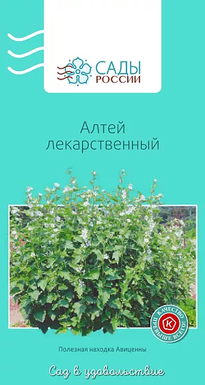 Алтей лекарственный 1гр из каталога Разные Алтей лекарственный
Растение высокое, с красивыми крупными нежно-розовыми цветками на прямых прочных стеблях. В качестве лекарственного сырья традиционно используются корни. Алтей лекарственный входит в число самых распространенных в народной медицине лекарственных растений, применяется от кашля, при хронических бронхитах, трахеитах, ларингитах, коклюше и других острых респираторных заболеваниях. На участок, отведенный для выращивания алтея, с осени рекомендуется внести компост и калийные удобрения из расчета 10–15 г/м² и вскопать. Хорошо растет на рыхлой окультуренной огородной почве. Отлично зимует под снежным покровом, в районах с суровыми малоснежными зимами не помешает легкое укрытие. Несмотря на отсутствие явных противопоказаний, следует согласовать применение с врачом.