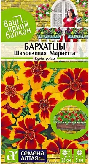 Семена Бархатцы "Шаловливая Мариетта".<br>
Яркие соцветия бархатцев этого низкорослого сорта будут украшать Ваш сад с июля до осенних холодов. Растение неприхотливо и отличается длительным цветением. Куст компактный, сильноветвистый. Соцветия плоские немахровые, 4-5 см в диаметре. Окраска язычковых цветков двухцветная: золотисто-желтая с большим коричнево-красным пятном у основания.