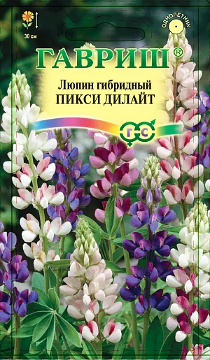 Семена Люпин Пикси Дилайт <br>
 <br>
 Однолетнее декоративное растение из семейства Бобовые высотой 30 см. Цветет с июня по сентябрь. Цветки розовой, белой, голубой окраски, как однотонные, так и двухцветные. Светолюбив, но может расти при небольшом затенении, холодостоек, к почве нетребователен. Семена высевают в апреле-начале мая в открытый грунт. Перед посевом семена желательно замачивать. Всходы появляются через 7-14 дней. Расстояние между растениями должно составлять 20-25 см. Используют для посадки в группах, рабатках и бордюрах.<br>