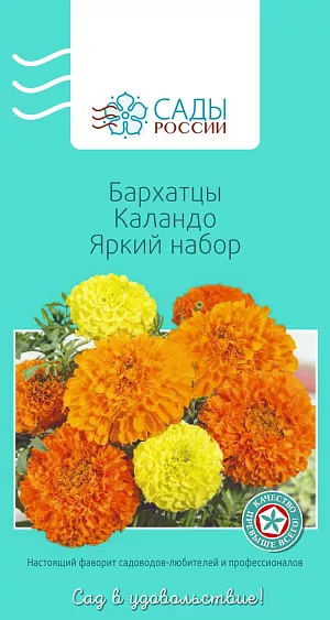 Бархатцы африканские Каландо Яркий набор 20шт из каталога Бархатцы Бархатцы африканские Каландо Яркий
Бархатцы прямостоячие, или африканские. Куст мощный с прочными цветоносами, соцветия густомахровые гвоздиковидные до 8 см диаметром. Достаточно холодостойки, но рассаду высаживают в грунт, когда минует угроза заморозков.