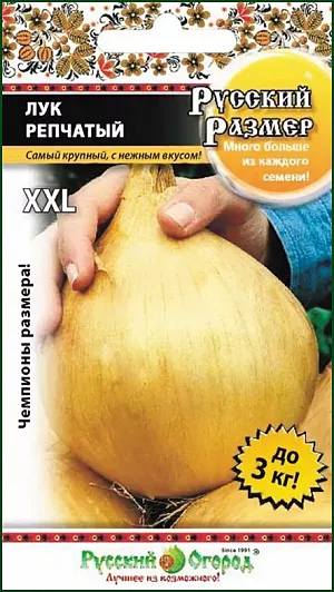 Семена Лук репчатый Русский размер