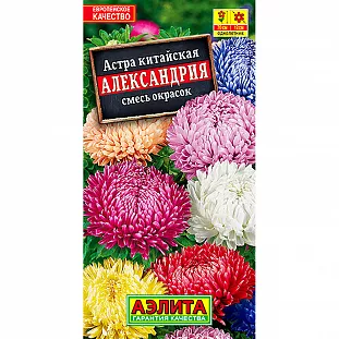 Семена Астра Александрия смесь окрасок