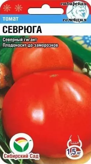 Семена Томат Севрюга