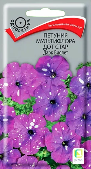 Петуния мультифлора Дот Стар Дарк Виолет (ЦВ) ("1) 10шт из каталога Петуния <div>
Семена Петуния мультифлора Дот Стар Дарк Виолет.
</div>
<b>Прорыв в области селекции!</b> Растение высотой 30-35 см, хорошо ветвится. Диаметр цветка 6-7 см. Ни одна другая петуния не может похвастаться звездным крапчатым рисунком. Окраска - белые крапинки на сине-лиловом фоне. Яркость и форма рисунка зависит от погодных условий - каждый цветок совершенно уникален. Быстро восстанавливается после дождя. Используют для оформления цветников, балконных ящиков и контейнеров.<br>
<br>
<b> Агротехника.</b> Растение светолюбивое, засухоустойчивое, хорошо растет на любых питательных почвах. Посевы проводят в феврале. Драже выкладывают на поверхность хорошо увлажнённого субстрата без заделки в грунт. Драже обильно опрыскивают из пульверизатора для растворения оболочки. Контейнеры накрывают плёнкой для обеспечения максимальной влажности воздуха и субстрата в первые 7-10 дней после посева. При температуре почвы +18-20°C всходы появляются на 7-14 день. Сеянцы пикируют в фазе 2-х настоящих листьев. Рассаду высаживают в мае, по 3 растения в подвесное кашпо или вазон Ø 21 см. Для получения наилучшего результата требуется прищипка.<br>
<br>
Семена соответствуют требованиям международных стандартов и ГОСТу РФ 12260-81