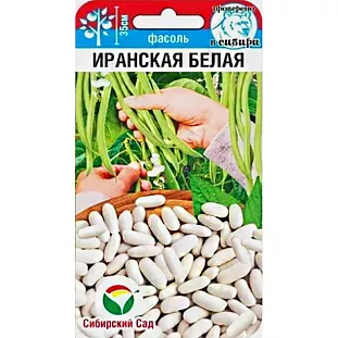 Семена Фасоль Иранская белая Семена Фасоль Иранская белая