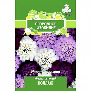 Семена Иберис зонтичный Коллаж