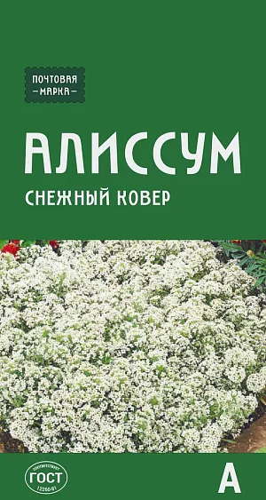 Семена Алиссум Снежный ковёр из каталога Алиссум Алиссум Снежный ковёр
Прекрасное низкорослое растение с медовым ароматом. Разрастаясь, стелется и образует воздушное белое покрывало. Мелкие белоснежные цветки собраны в небольшие шапки и сладким нектаром привлекают в сад пчел. Для непрерывного цветения и аккуратного вида удаляют все отцветшие соцветия.
Выращивают на альпийских горках, в балконных ящиках или по периметру цветников.
Высота: 10–15 см.