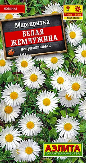 Семена Маргаритка "Белая жемчужина".<br>
Самая неприхотливая из маргариток, самая маленькая и трогательная. Многолетняя по природе, в цветоводстве используется в качестве двулетника. Скромные белоснежные цветочки диаметром 3-4 см полны природного обаяния. Миниатюрные кустики не превышают 7-10 см в высоту; практически не поражаются болезнями и вредителями. На Западе такие маргаритки называют газонными и ценят за фантастическую стойкость при постоянном скашивании. «Вечной красавицей» оформляют цветники минимального ухода, бордюры, приствольные круги. Кроме того, молодые зеленые листочки и лепестки цветков можно использовать в цветочной кулинарии.