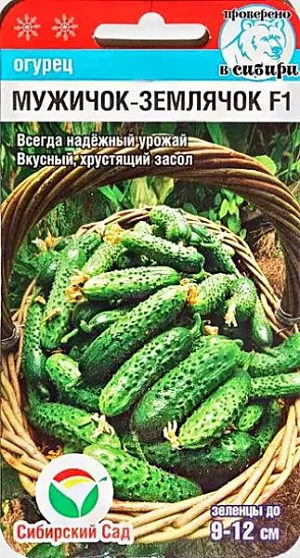 Семена Огурец Мужичок-землячок F1