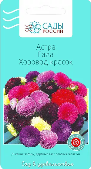 Семена Астра Гала Хоровод красок из каталога Астра Семена Астра Гала Хоровод красок.
Захватывающая гармония осенне-летних оттенков. Вспышка яркого бабьего лета. Изумительно хороша в букетах.
Cамо совершенство. Потрясающе красивая, яркая, праздничная, с крупными густо-махровыми шаровидными соцветиями, на крепких цветоносах. Куст компактный. Цветёт обильно в августе-сентябре, настоящее украшение в начале учебного года, отличная «срезка» и нарядное убранство сада ранней осенью.