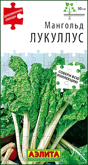 Мангольд Лукуллус Мангольд Лукуллус