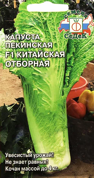 Семена Капуста пекинская Китайская отборная F1 Семена Капуста пекинская Китайская отборная F1