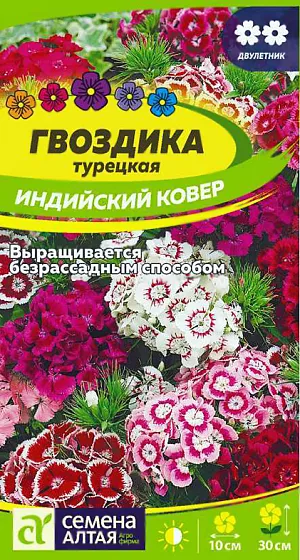 <div>
 Семена Гвоздика турецкая Индийский ковер.
</div>
 Яркоцветущая смесь низкорослых сортов. Выращивается в двулетней культуре. Компактные растения, до 30 см. в высоту и ширину, во время цветения полностью скрыты шапками соцветий. Мелкие цветки всевозможных расцветок (преимущественно красных и малиновых тонов) собраны в густые зонтиковидные щитки диаметром 8-10 см., расположенные на верхушках побегов. В плотной посадке растения создают яркий ковровый узор. Обильное и продолжительное (июнь-июль) цветение турецкой гвоздики на второй год после посадки станет украшением любого цветника, клумбы, бордюрной посадки. <br>
 <br>
 <b>Неприхотливое холодостойкое растение</b>, предпочитает солнечные участки с легкой плодородной, хорошо дренированной почвой с нейтральной реакцией. Кислые почвы необходимо нейтрализовать известью. Посев семян проводят в конце мая – начале июня на разводочные гряды на глубину 0,5-1 см. Сеянцы в фазе 2-3 настоящих листьев продергивают или пикируют с интервалом 10 см. В августе их пересаживают на постоянное место с интервалом 20-30 см. В первый год растение формирует розетку листьев. На зиму молодые растения желательно укрыть лапником. Цветение наступает на второй год и длится с июля по август.