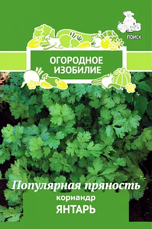 Семена Кориандр Янтарь