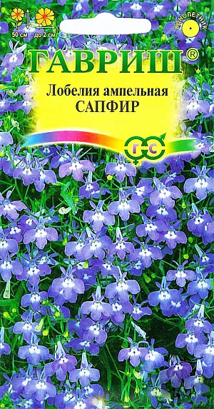Семена Лобелия Сапфир ампельная из каталога Лобелия Семена Лобелия Сапфир ампельная.
Растение, культивируемое как однолетник из семейства Лобелиевые. Побеги тонкие, стелющиеся, длиной до 50 см.
Цветение обильное с июня до осени. Цветки ярко-синие с белым глазком, до 2 см в диаметре.
Светолюбива, влаголюбива и холодостойка. Предпочитает рыхлые и умеренно плодородные почвы, в засушливый период необходим полив.
Выращивают рассадным способом. Семена высевают в феврале-марте. Всходы появляются через 9-10 дней.
Рассаду высаживают в открытый грунт во второй половине мая.
Используется для посадки в подвесные кашпо и корзины, вазы, балконные ящики.