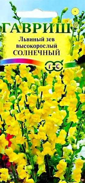 Семена Львиный зев (Антирринум) Солнечный<br>
 <br>
 Великолепный крупноцветковый срезочный сорт. Декоративное растение из семейства Норичниковые, культивируемое как однолетник, высотой 70-90 см. Цветет с конца июня до поздних заморозков. Цветки крупные, желтые, собраны в кистевидные соцветия. Холодостоек, светолюбив, к почвам нетребователен, в засушливый период нуждается в поливе. Выращивают рассадным способом. Используется для групповых посадок и цветников, а также для получения высококачественной срезки (львиный зев стоит в воде до двух недель).<br>