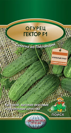 Семена Огурец Гектор F1
