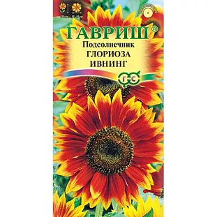 Семена Подсолнечник декоративный Глориоза Ивнинг Семена Подсолнечник декоративный Глориоза Ивнинг