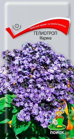 Гелиотроп Марина из каталога Разные Семена Гелиотроп Марина. <br>
<br>
Приятный аромат на Вашем балконе. Многолетнее растение, выращиваемое как однолетнее. Густо ветвящийся травянистый кустик до 45 см высотой. Цветки мелкие, душистые, собраны в щитковидные соцветия. Цветет все лето обильно и продолжительно. Используют для озеленения балконов, горшечной культуры и в ковровых цветниках . <br>
<br>
Агротехника. Свето- и теплолюбивые растения, хорошо растут в легких плодородных грунтах.
Требует достаточного полива и опрыскивания в сухую погоду.
Посев производят в конце марте – начале апреля в ящики, слегка присыпая землей.
Всходы появляются через 20-30 дней. Сеянцы пикируют в горшки или ящики, перед высадкой на балкон рассаду необходимо закаливать.