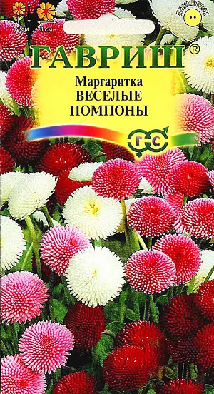 Семена Маргаритка Веселые помпоны.
Неприхотливое, очень зимостойкое растение из семейства Астровые высотой 12 см. Цветет в апреле-июле, при хорошем уходе цветение продолжается до осени с перерывом в жаркий период сезона. 
Соцветия в виде плотных помпонов, 3 см в диаметре, белой, розовой, красной окраски. Хорошо растет на любых почвах. 
Светолюбивое растение, но хорошо выдерживает легкое затенение. Семена высевают в конце июня - начале июля в открытый грунт, всходы появляются через 7-10 дней. 
Маргаритка прекрасно подходит для выращивания на клумбах, рабатках и в бордюрах, а также в горшках и балконных ящиках.