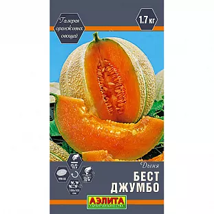 Семена Дыня Бест Джумбо