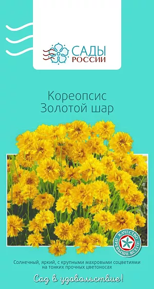 Кореопсис Золотой шар

В народе это нежное растение ласково называют ленок. Листья крупноперисто-рассеченные, соцветия крупные, 6 см в диаметре, золотисто-желтые, очень изящные, многочисленные. Не терпит застоя воды и высокой кислотности. Для пышного цветения кореопсиса почва должна быть рыхлой. Холодостойкий, зимует под снегом без укрытия.