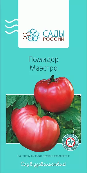 Семена Томат Маэстро Семена Томат Маэстро