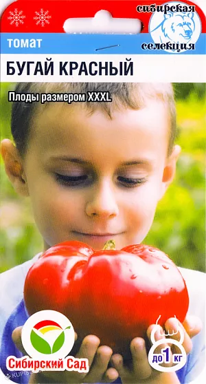 Семена Томат Бугай красный