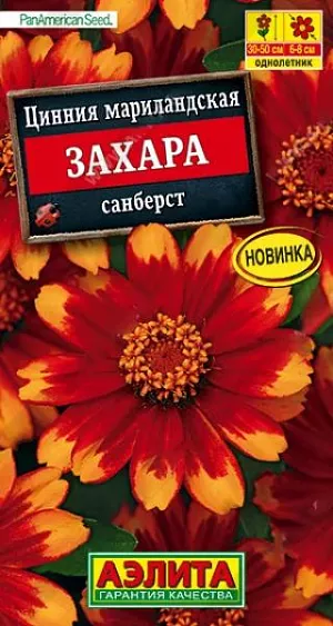 Семена Цинния Дабл Захара санберст. <br>
 <br>
 <br>
 Потрясающее цветение циннии серии Захара американской селекции от компании PanAmerican Seed, оставляет позади всех своих конкурентов! Растение формирует компактный, крепкий кустик высотой 30-50 см. Цветки крупные  6-8 см, остаются яркими и насыщенными даже в жаркую погоду. Сорт не восприимчив к грибковым заболеваниям. Неприхотлив, поэтому отлично подойдет для всех уголков вашего сада.<br>
 <br>
 <br>
  Циннии – растения теплолюбивые, быстрорастущие, относительно засухоустойчивые. Предпочитают солнечные участки с дренированными почвами среднего плодородия, нейтральной кислотности. В южных регионах возможен безрассадный способ выращивания.<br>
 <br>
 <br>
 <br>
 <br>