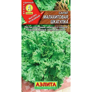 Салат листовой Малахитовая шкатулка