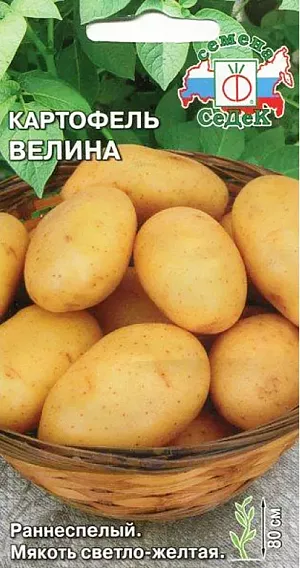 Семена Картофель Велина